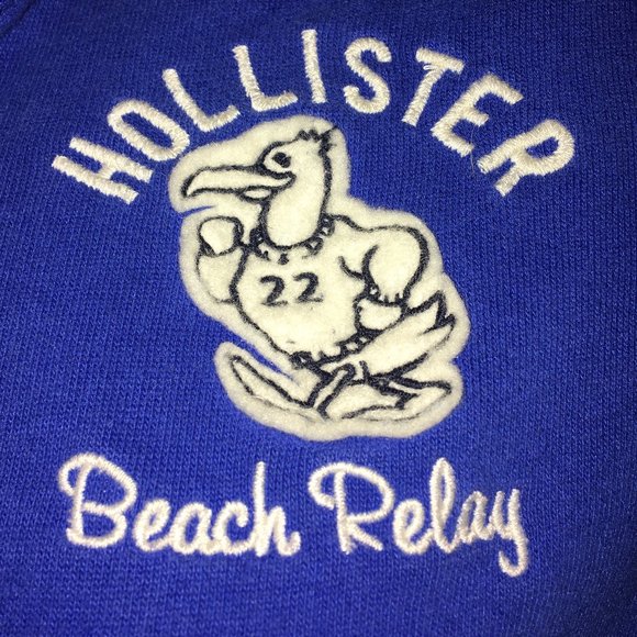 COPY - LIVE 10 EUC Zippered Hollister Hoodie - Picture 3 of 4